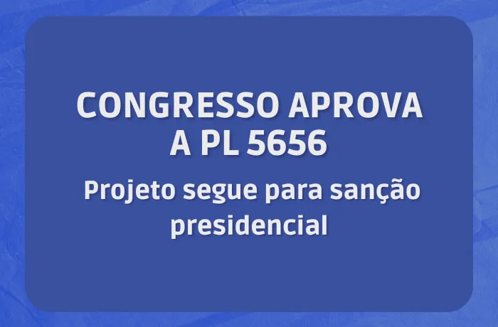 Congresso Aprova A Pl 5656, Que Altera A Lei De Universalização Das Bibliotecas Escolares; Projeto Segue Para Sanção Presidencial